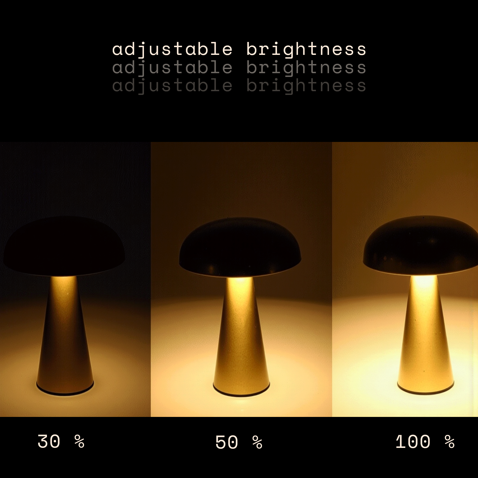 Cocoona | Champignon céleste